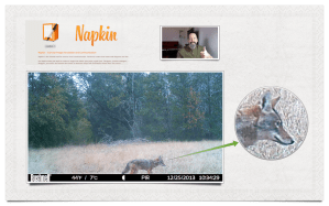 Napkin makes image annotation easy