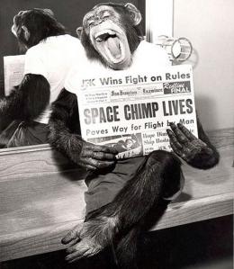spacechimp