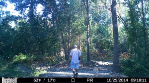 Photos By Trail Camera