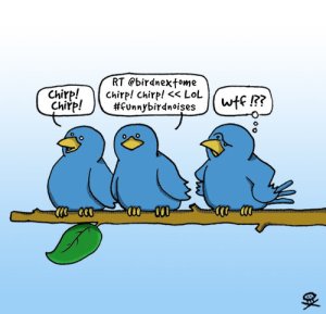 twitterbirds